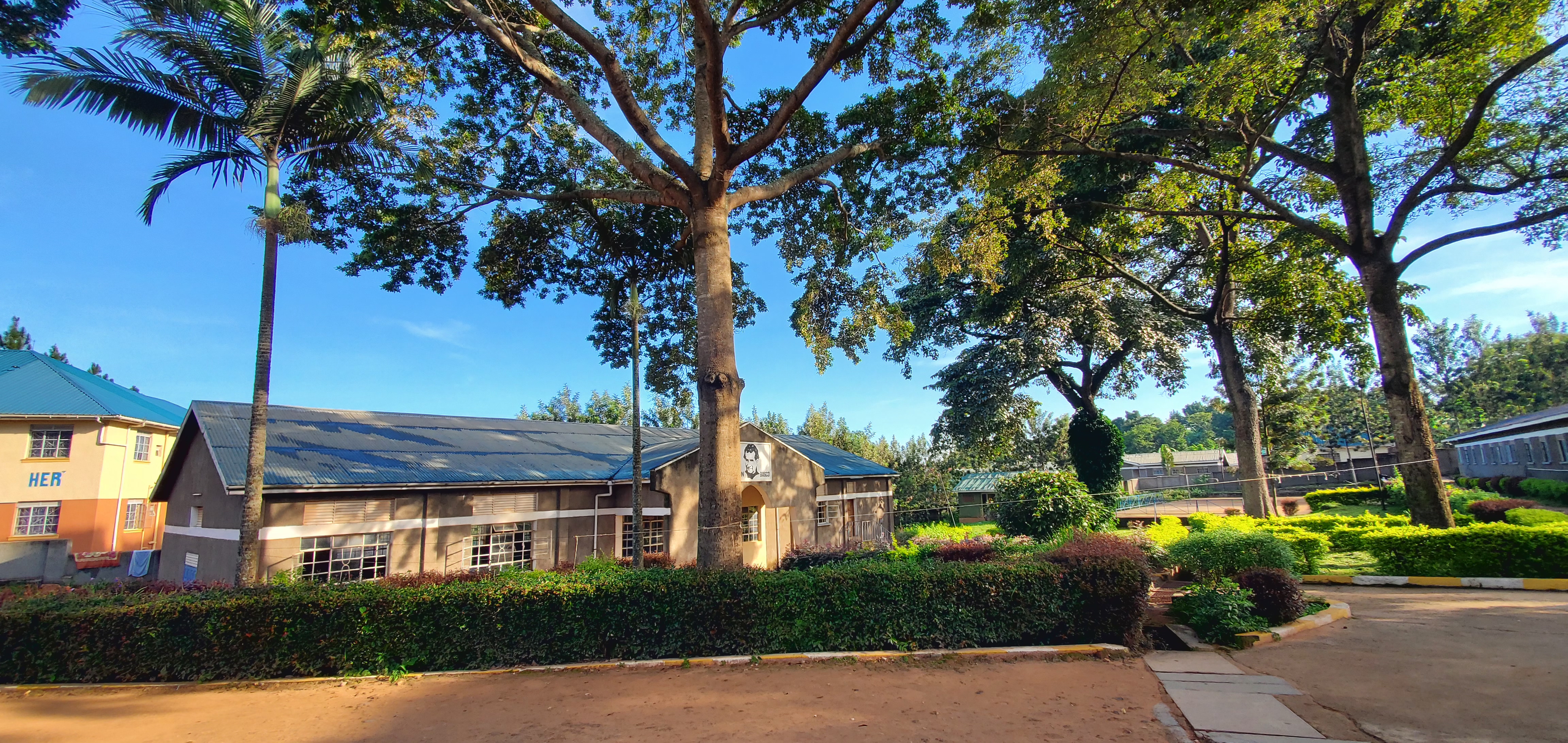 School grounds with trees, gardens and campus buildings
